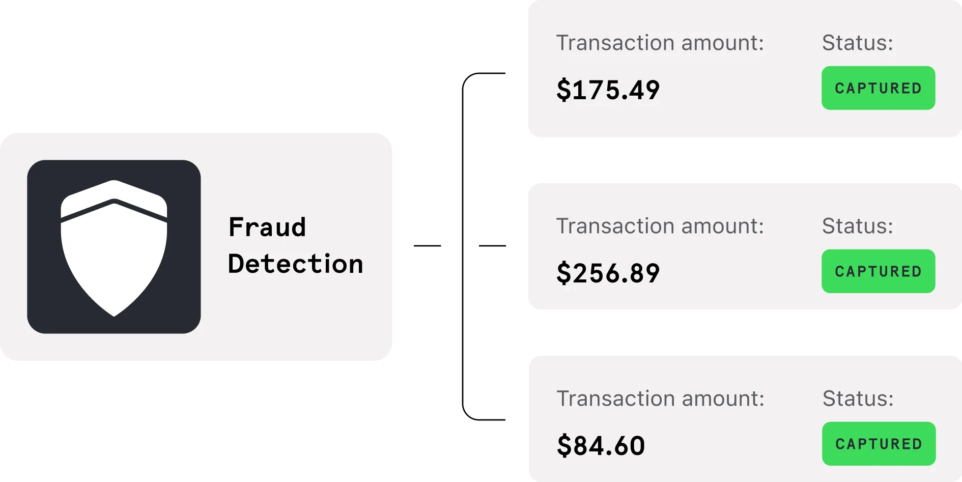 Fraud Detection Illustration